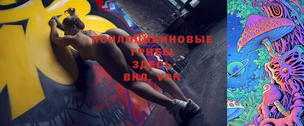 винт Богородицк