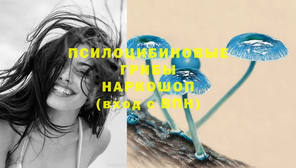 круглые Богданович